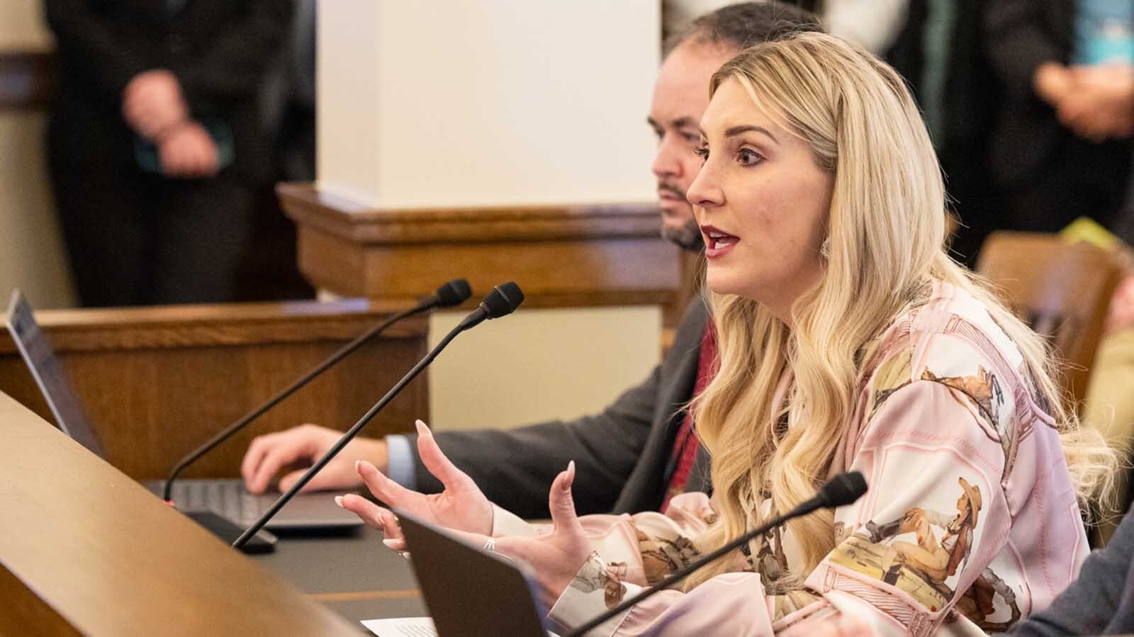 Wyoming Superintendent of Public Instruction Megan Degenfelder testifies for the Senate Education Committee during thed Wyoming Legislature's 2025 session in this file photo.