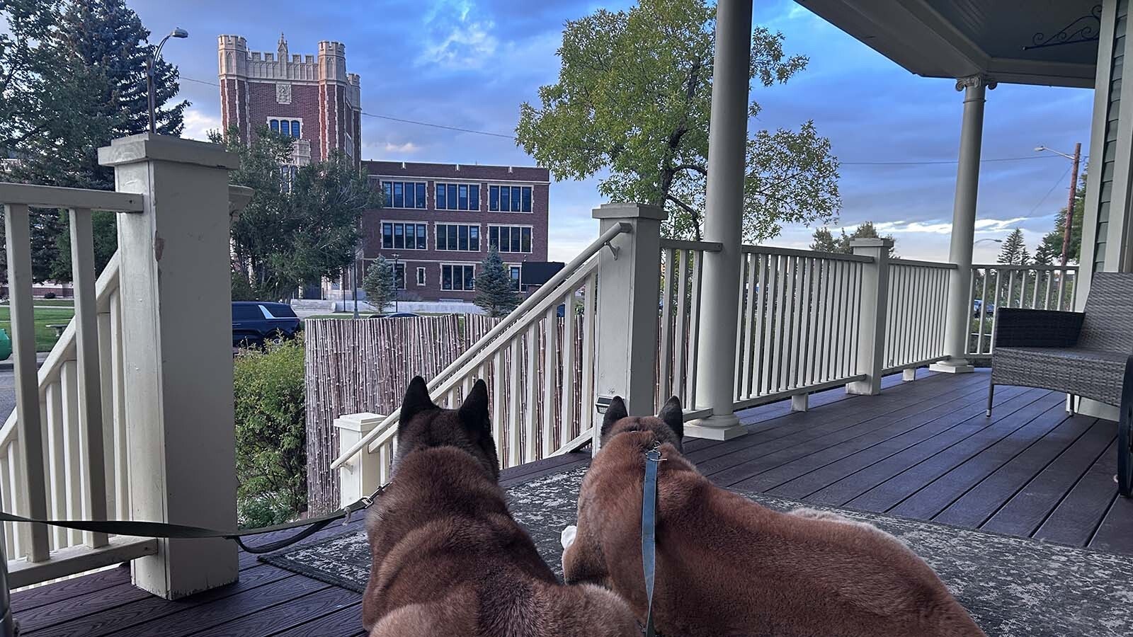 Chanelle Rodriguez and her fiance couldn't find their dream home in Casper, so they bought an old home with good bones to transform that one into their forever home.