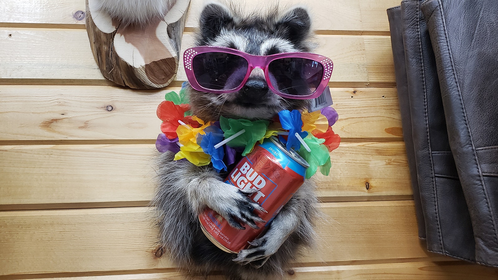 Even the party raccoon approves of buffalo fur coats.