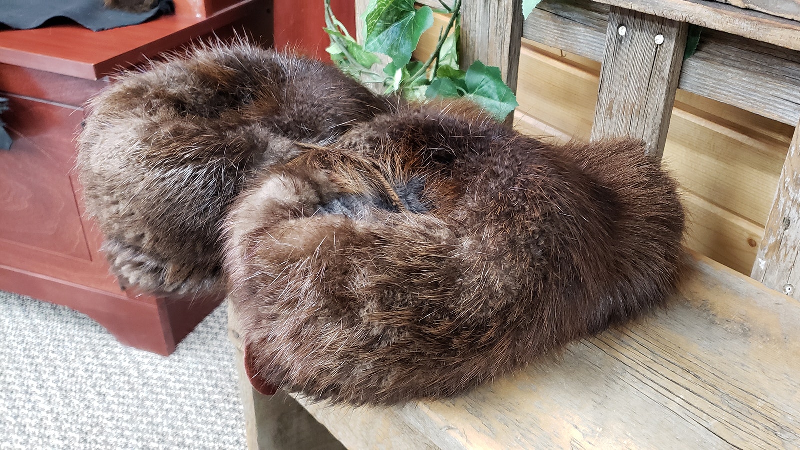 The world's furriest slippers are made of beaver fur, and they're hanging out at Merlin's Hide Out.