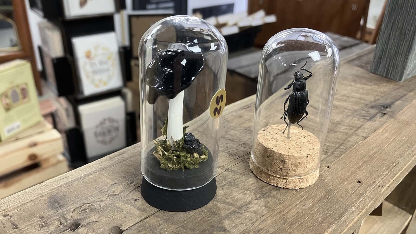 A posing beetle-like insect and a black-topped mushroom are part of the products at Metalmark Studios.