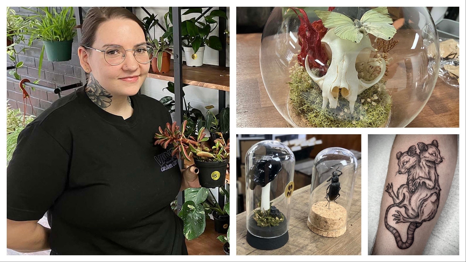 There’s plenty to look at while getting a tattoo of a two-headed rat, like a baby rabbit in a jar, insect taxidermy and skulls under glass. If it’s odd, it’s at Casper’s Metalmark Studios, owned by Kinzie Calvert.