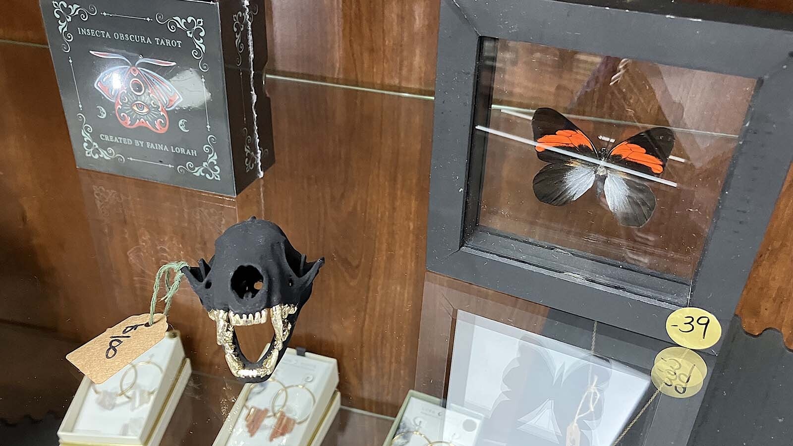 A skull, insect tarot cards, and a butterfly sit on the shelves at Metalmark Studios, part of the oddities products at the store.