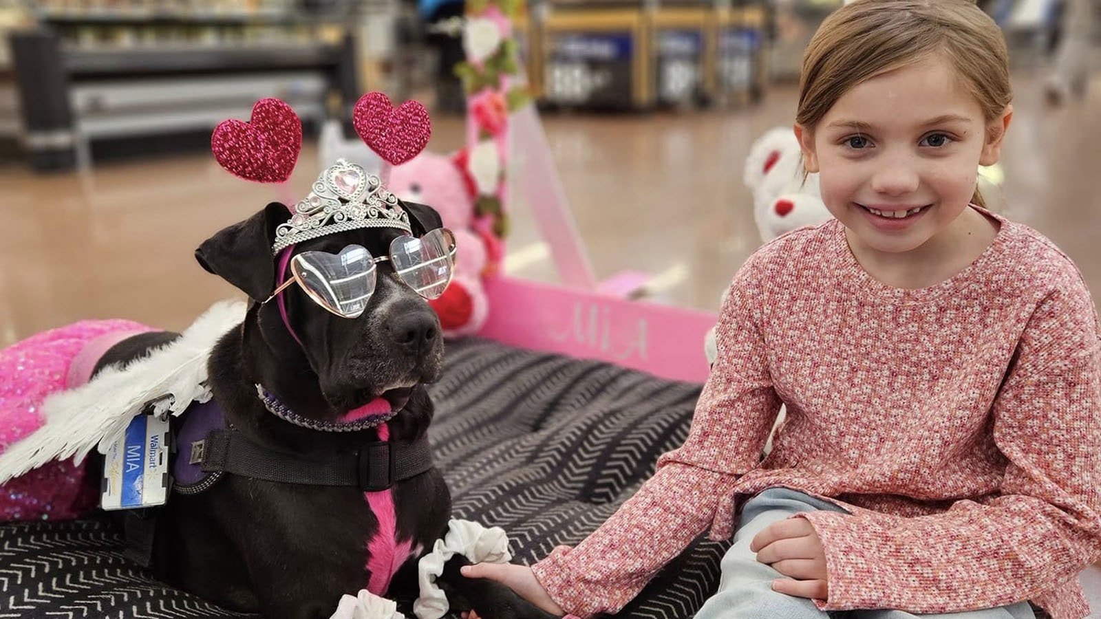 Mia the Walmart dog is a favorite with the store's customers, especially kids.