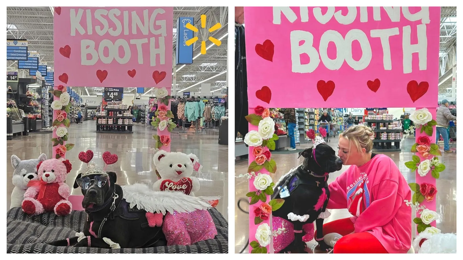 Meet Mia The Walmart Dog — Casper’s Tutu-Wearing Celebrity K-9 | Cowboy