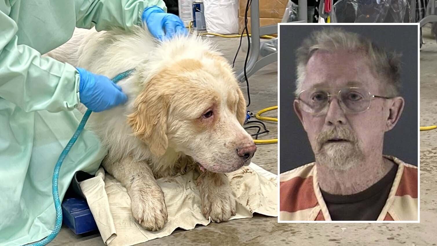 Michael Ohern and one of the 101 animals siezed from his home in October 2025.