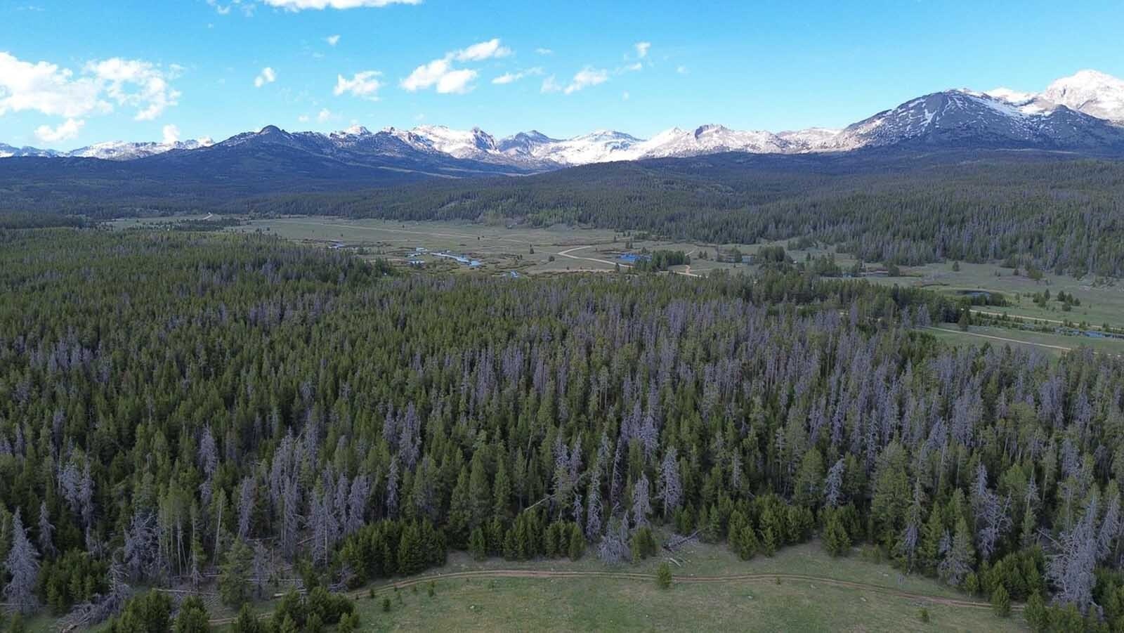 Another huge Wyoming ranch is for sale. At 1.1 million acres, Midland Ranch is more than five times bigger than New York City and larger than the state of Delaware.