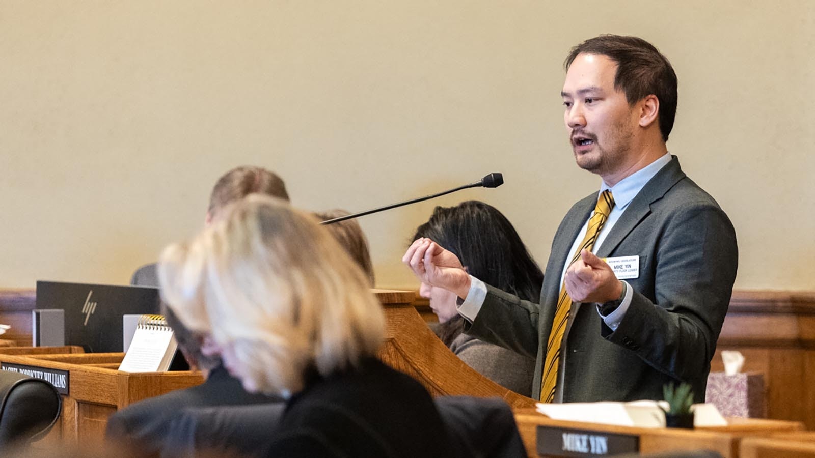 The Wyoming House killed an amendment brought by a Jackson Democrat Mike Yin that would have expanded a proposed bill requiring proof of U.S. citizenship for new voters to all voters.