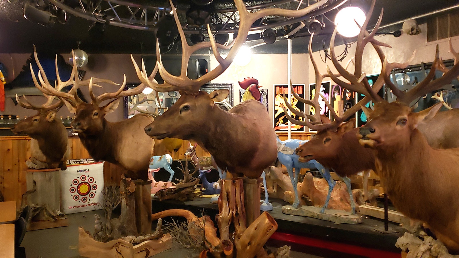 A menagerie of hunting trophies hangs out in the bar.