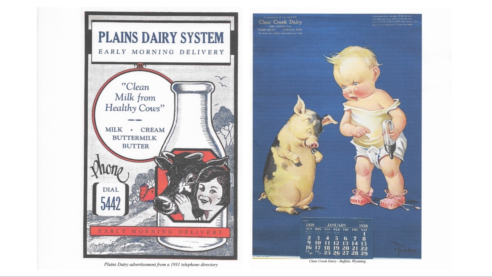 Steve Wallace grew up milking cows on a dairy farm, but now he’s milking Wyoming history for all it’s worth. The Casper man’s huge milk bottle collection traces 175 years of Wyoming’s rich dairy history.