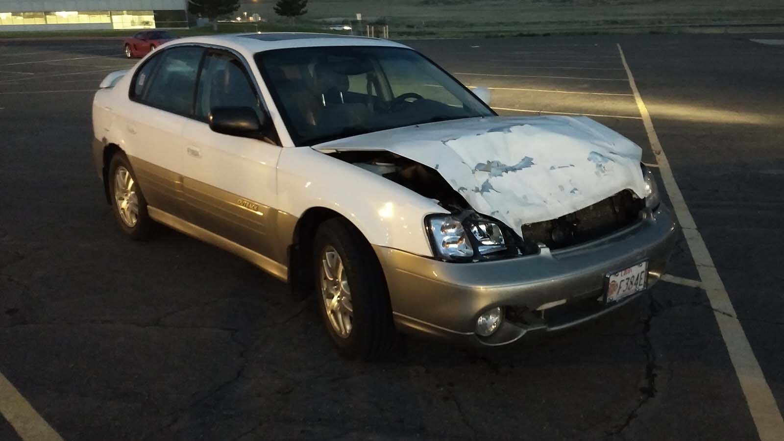 Over the years, this Subaru has collided with what amounts to a small herd of deer.