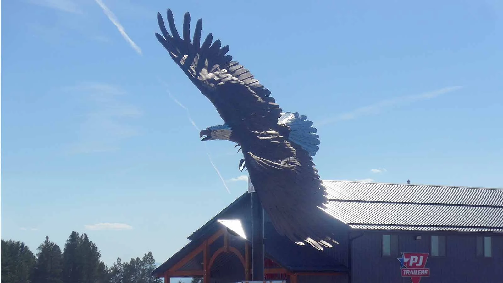 The giant steel eagle sits outside a business in Kalispell, Montana, where Rick Bonander first spotted it while traveling to Glacier National Park.