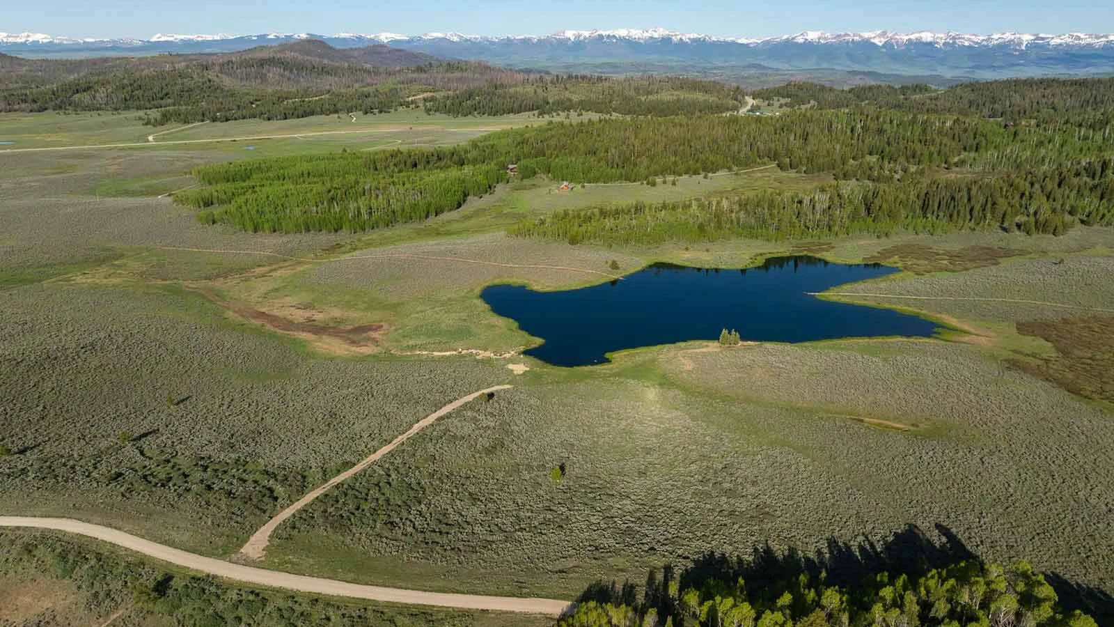 After 14 months on the market, the 558-acre Miner Creek Ranch near Bondurant wasn't moving closer to a sale, even after dropping the listing price from $20 million to $15 million. When the ranch was scheduled for a no-reserve auction, that spurred a frenzy of interest that resulted in a preemptive offer to buy the ranch before the auction could be held.