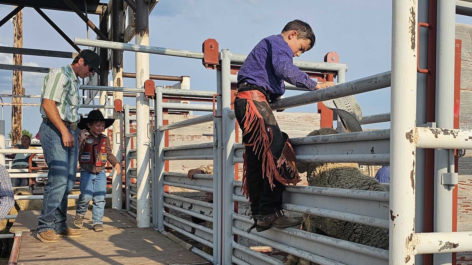 Rylan Jeffries looks down at a sheep in a pen at a miniature roughstock rodeo in Newcastle.