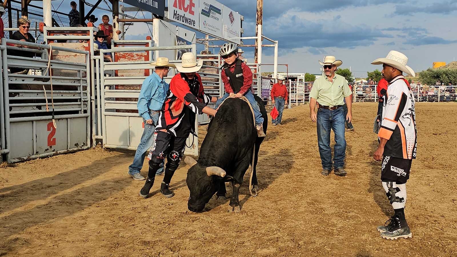 The walk-trot bulls were more intrested in seeing if the arena had any grass than in bucking.