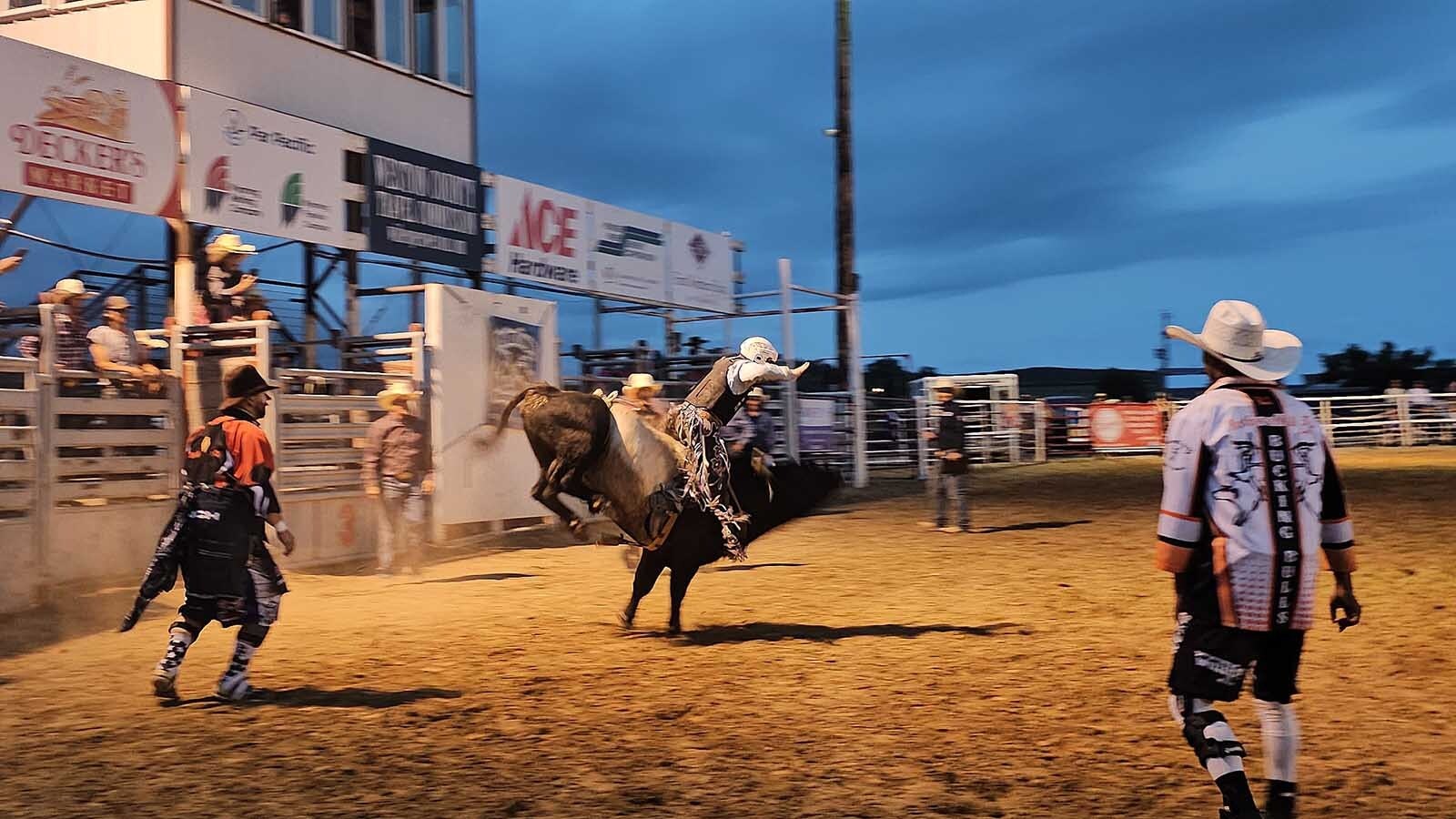 Older contestants get larger and harder bulls to ride during a miniature roughstock rodeo in Newcastle during the Weston County Fair.