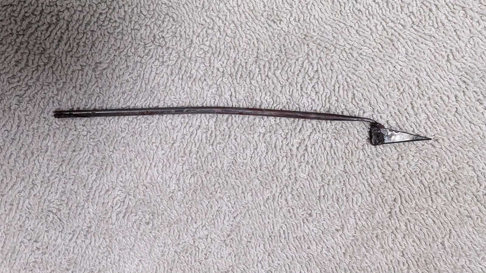 A yellow-orange tabby stray in Platte County, Wyoming, has earned the name Lucky. Despite long odds, he survived being impaled by a blow dart and shot in the shoulder.