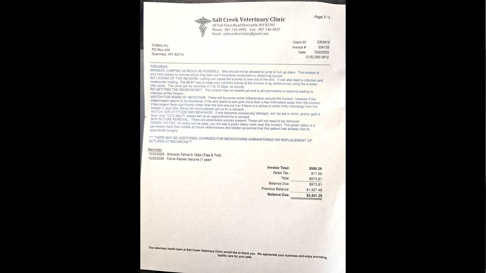 A yellow-orange tabby stray in Platte County, Wyoming, has earned the name Lucky. Despite long odds, he survived being impaled by a blow dart and shot in the shoulder.