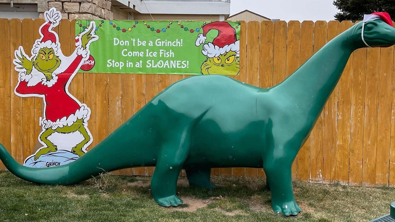 Alcova’s Sloanes General Store is hoping someone will return their 10-foot Apatosaurus. This photo was taken last December.