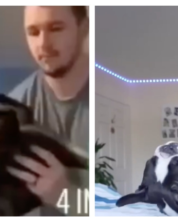 Mix Collage 02 Aug 2024 11 05 AM 3341