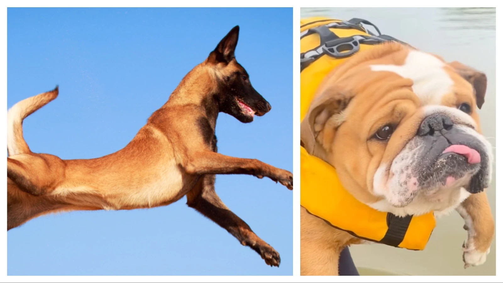 Mix Collage 03 Apr 2026 12 44 PM 122