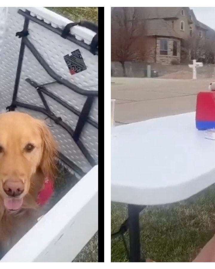 Mix Collage 05 Aug 2025 08 18 AM 3629