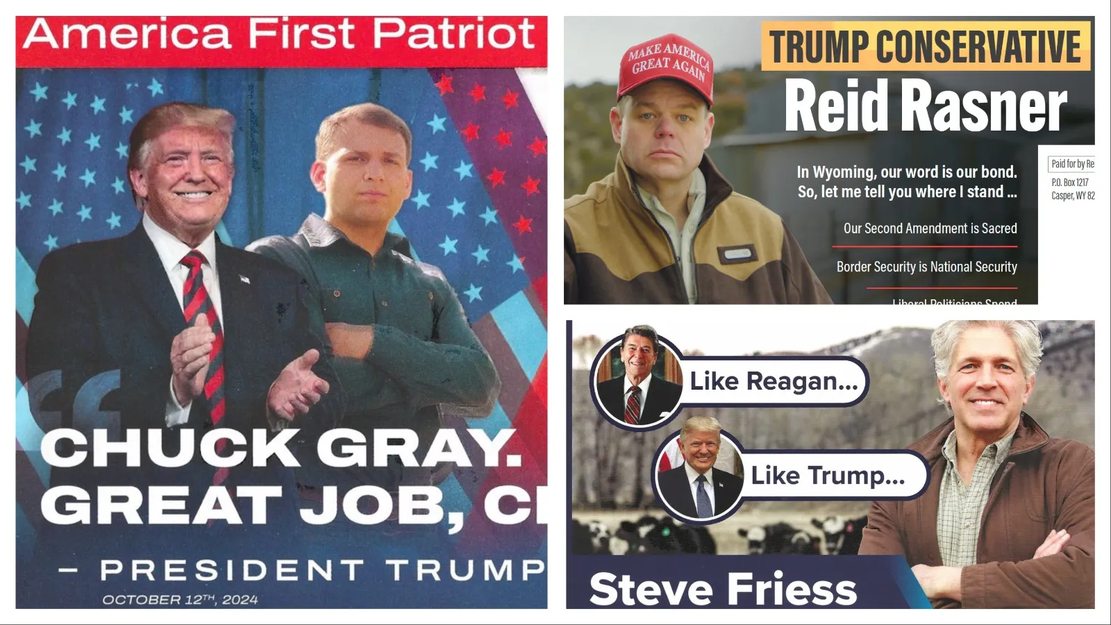 Donald Trump is a common theme in a recent blast of mass mailers from U.S. House candidates Chuck Gray, Reid Rasner and Steve Friess. They all invoke Trump numerous times and describe how their values line up with the president’s.