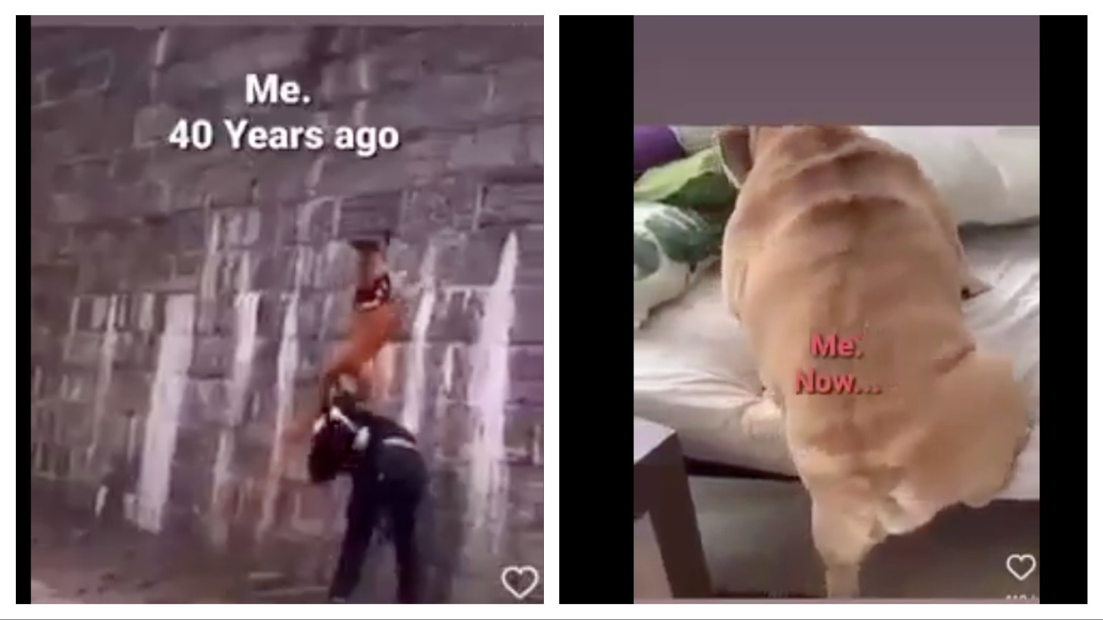 Mix Collage 07 Apr 2025 11 47 AM 2683