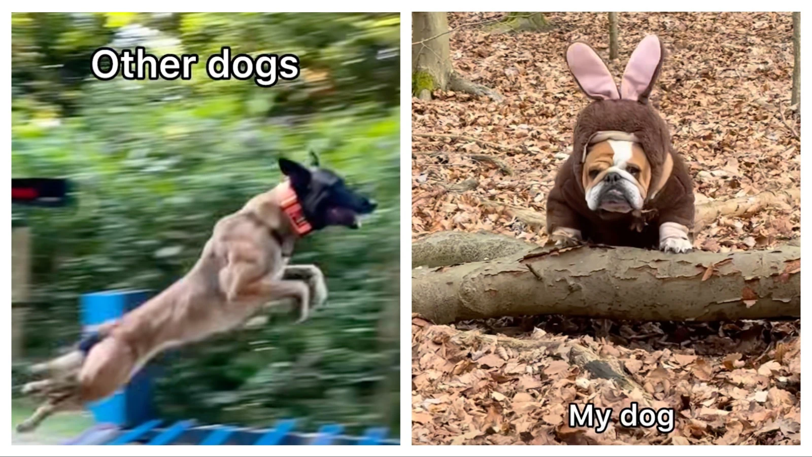 Mix Collage 08 Apr 2026 09 44 AM 2866