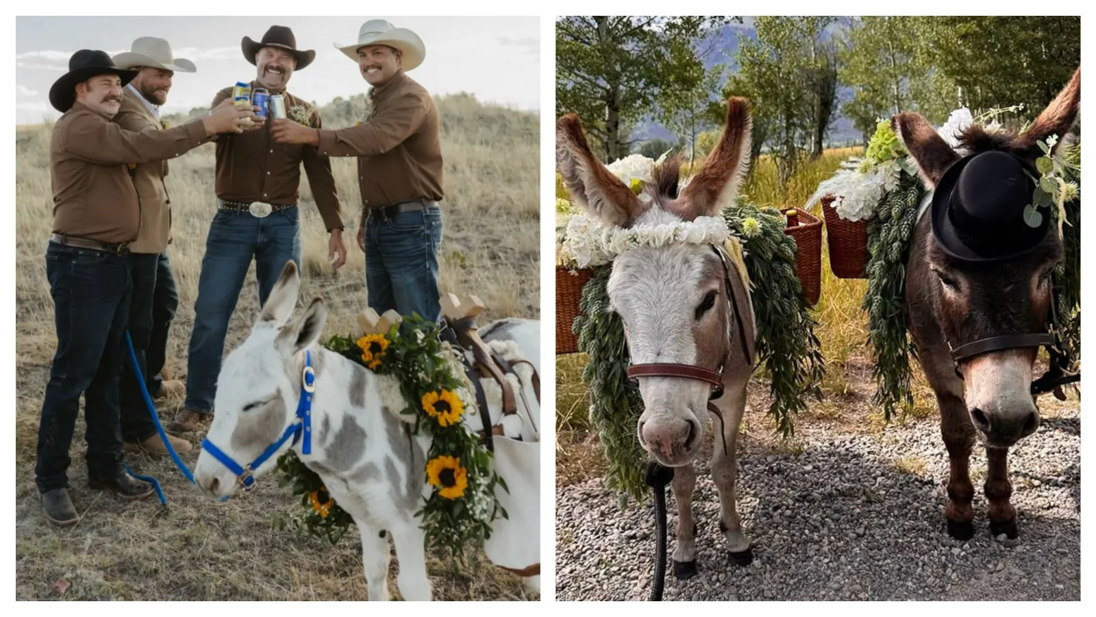 For $400, A Beer-Toting Mini-Donkey Will Bartend Your Wyoming WeddingA rescued miniature donkey named Miguel has become one of Wyoming’s most in-demand wedding bartenders by wandering through cocktail hours with beer strapped to his sides.