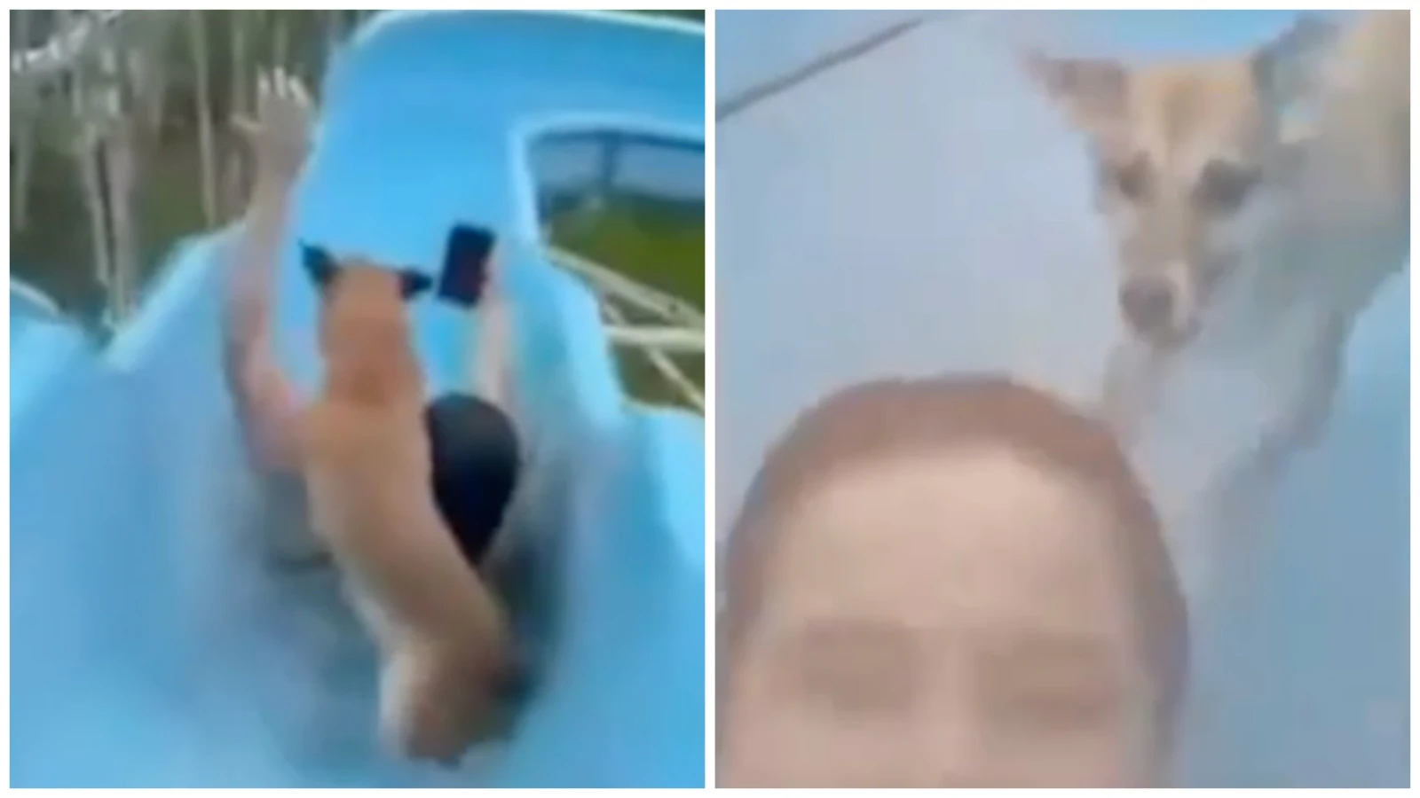 Mix Collage 14 Apr 2024 12 07 PM 3512