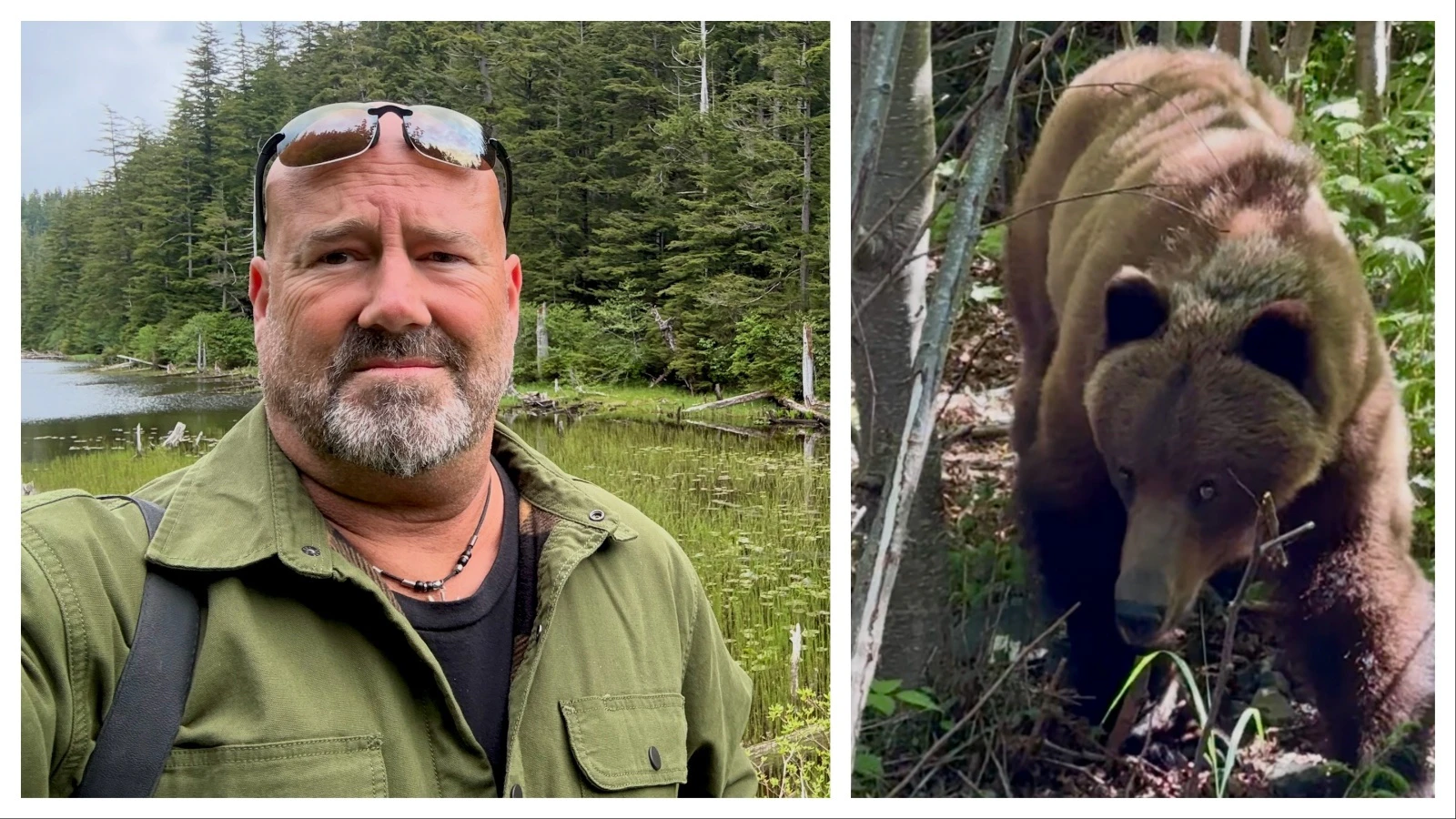 Outdoorsman Ryan Lutes had a predatory encounter with a female brown bear in Sitka, Alaska, during the first week of June.