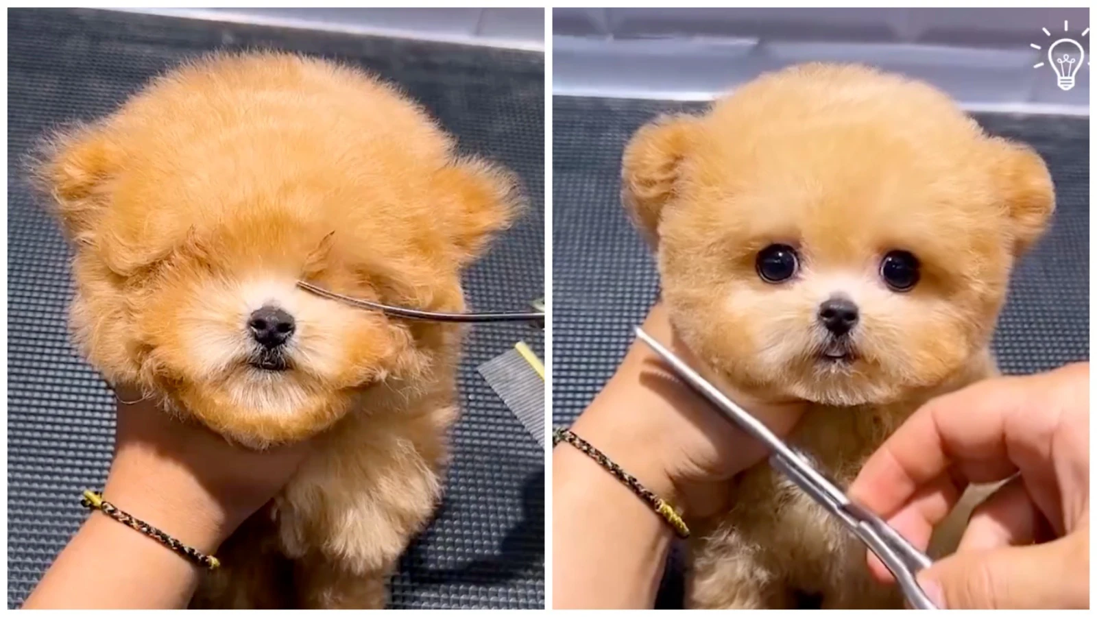 Mix Collage 16 Apr 2024 01 37 PM 4176