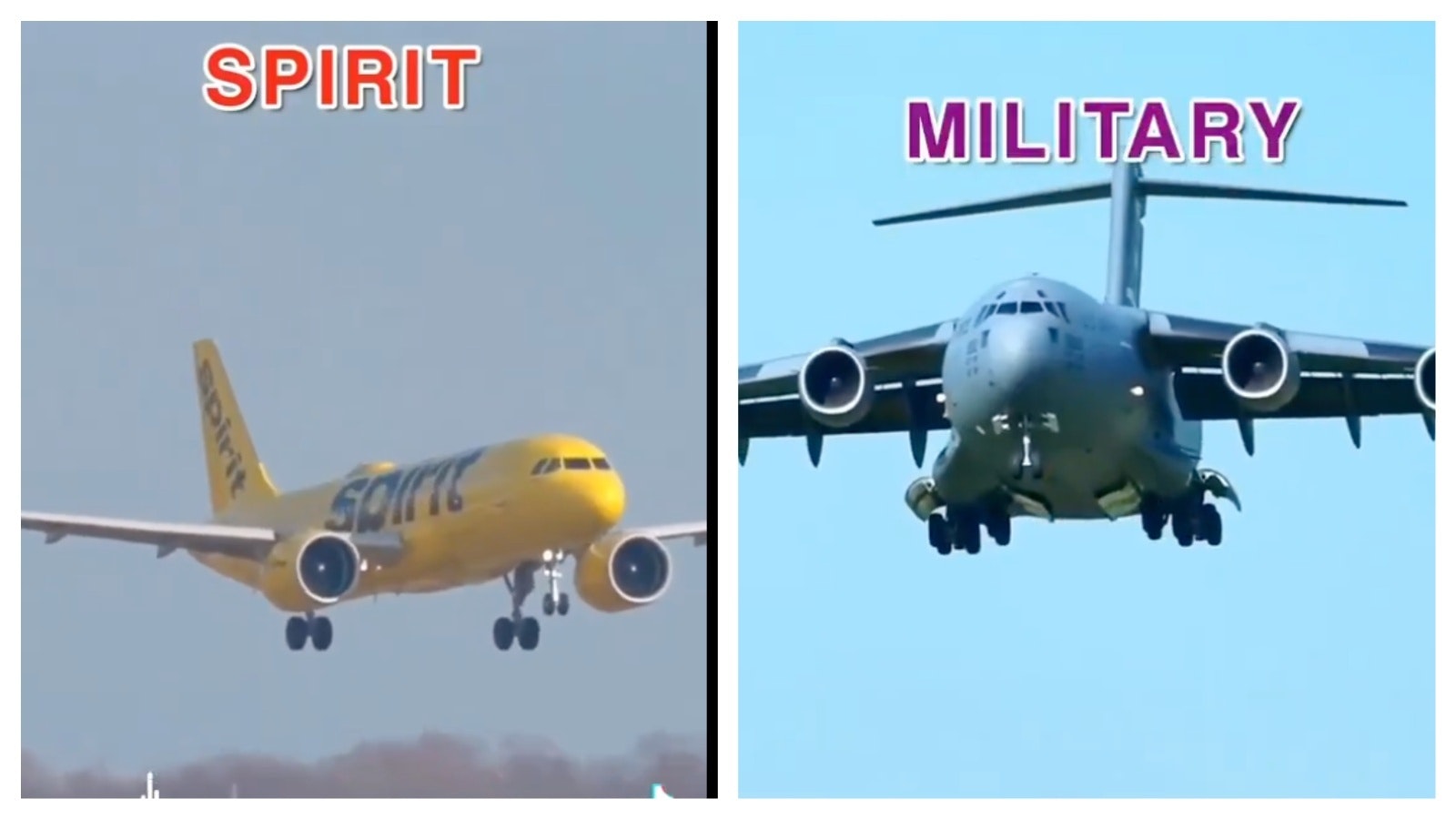 Mix Collage 19 Apr 2025 12 22 PM 4642