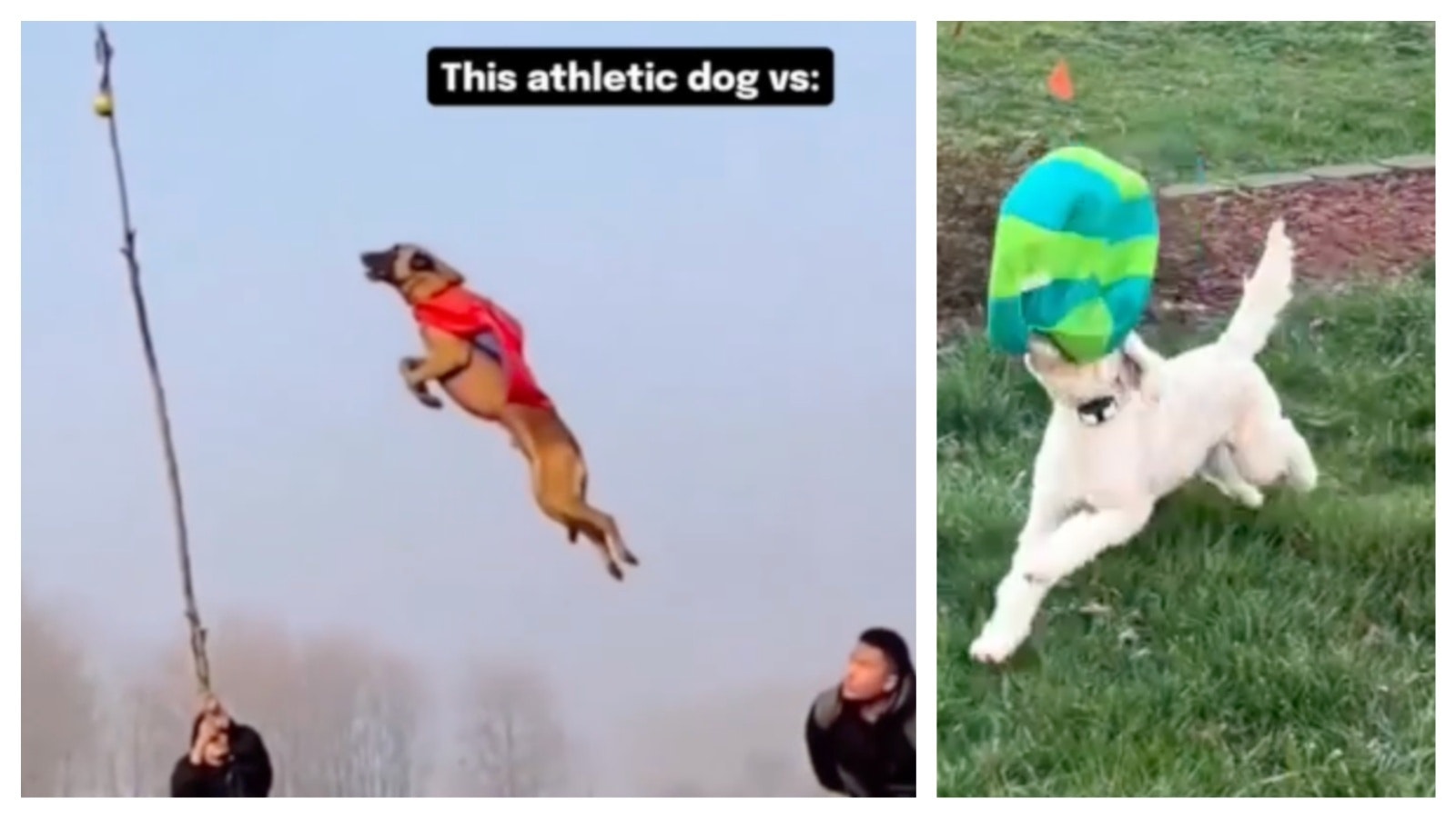 Mix Collage 20 Dec 2025 11 01 AM 6990