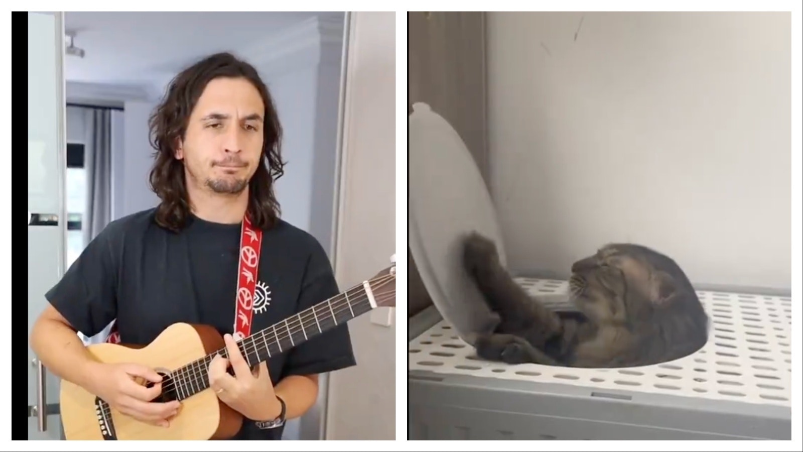 Mix Collage 24 Mar 2025 12 41 PM 1770