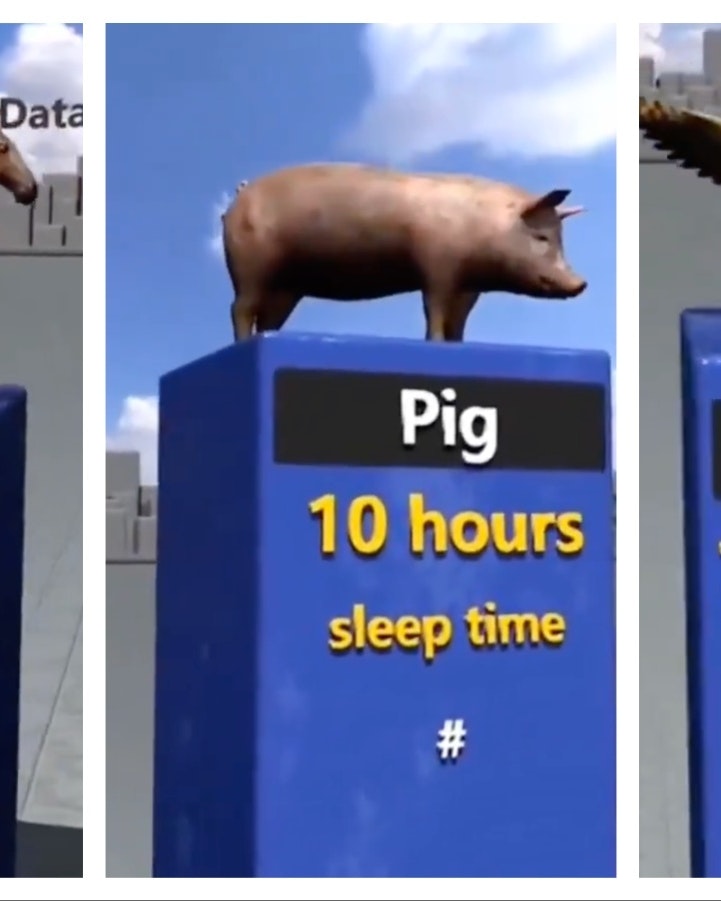 Mix Collage 25 May 2025 02 25 PM 5435