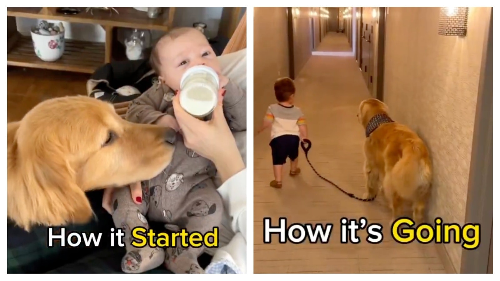 Mix Collage 26 May 2025 12 42 PM 2614