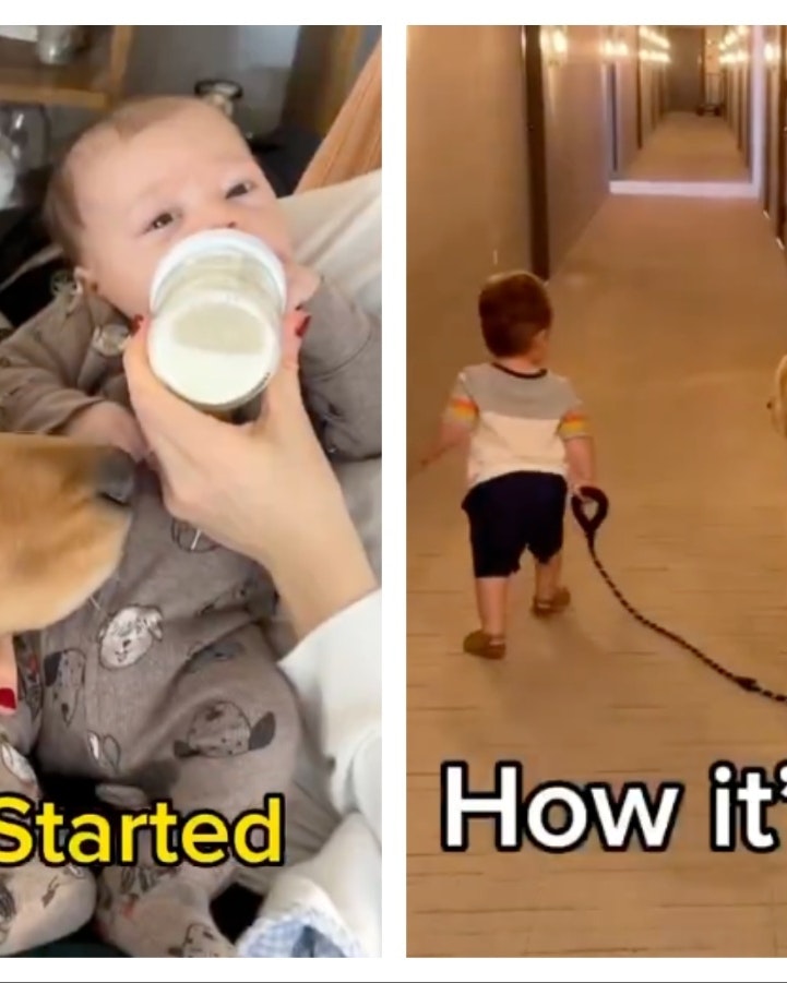 Mix Collage 26 May 2025 12 42 PM 2614