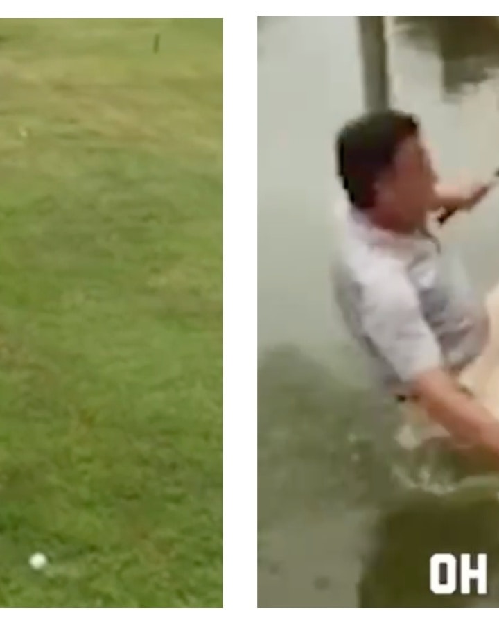 Mix Collage 27 Nov 2024 02 49 PM 7123