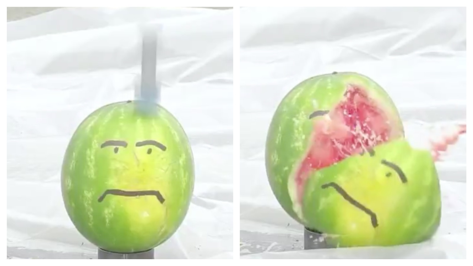 Mix Collage 30 Nov 2025 11 08 AM 7354