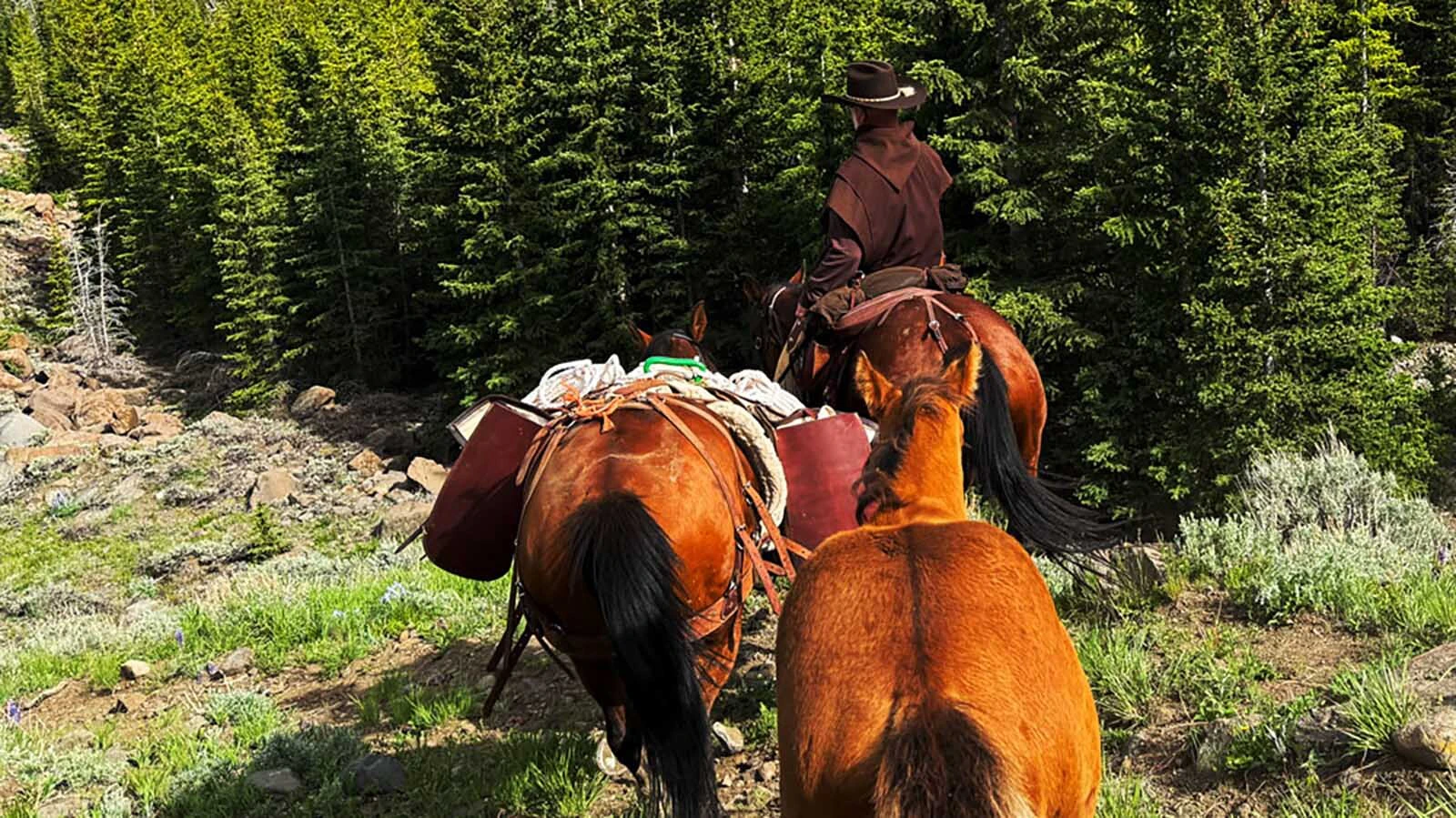 The Wyoming Carmelite monks live on a former ranch where they are building their Gothic style monastery from stone. To help fund their prayerful lives in the mountains of the Bighorn Basin, the monks run Angus cattle and have a special habit they wear when living the cowboy life.