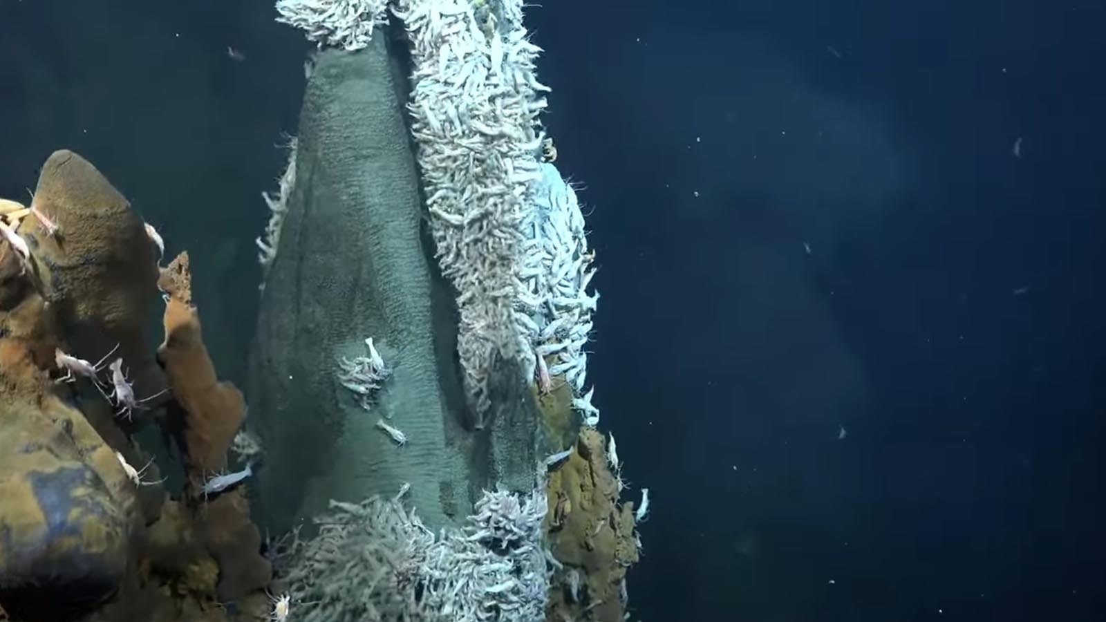 The tall cones that dot the Monument Geyser Basin in Yellowstone National Park were once "smokers" like these found deep under the ocean.