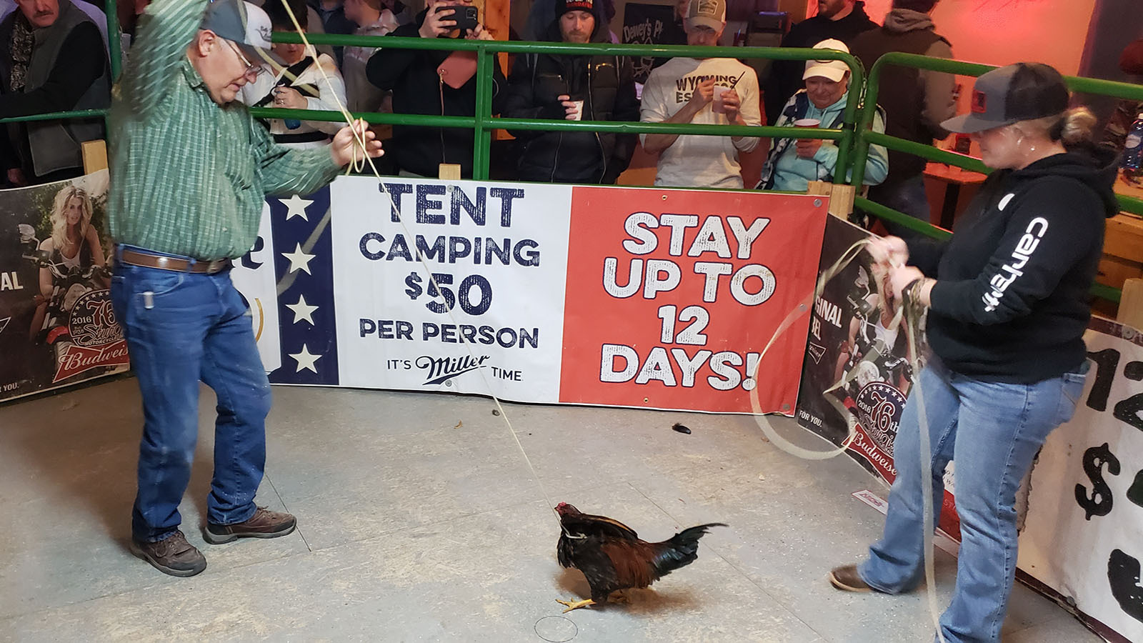 Moorcroft chicken roping 1 2 20 23