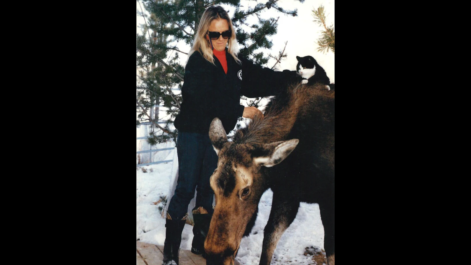 "They just liked me," said Pamela Chrisman on her remarkable 40-year relationship with wild moose. 