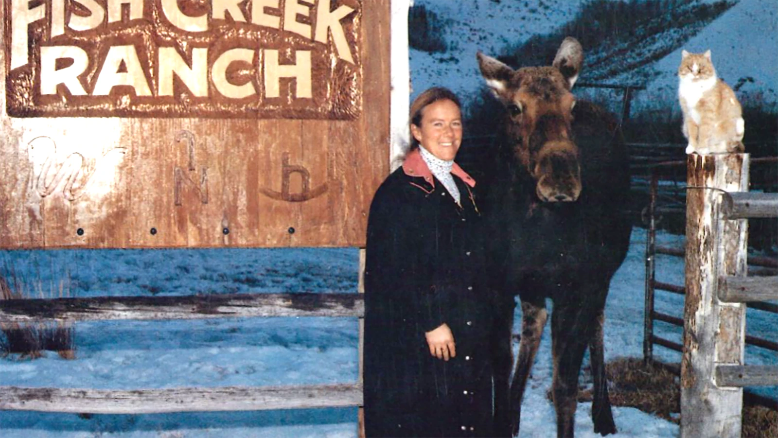 Pamela Chrisman stands with one of her longtime moose visitors outside the Fish Creek Ranch sign.