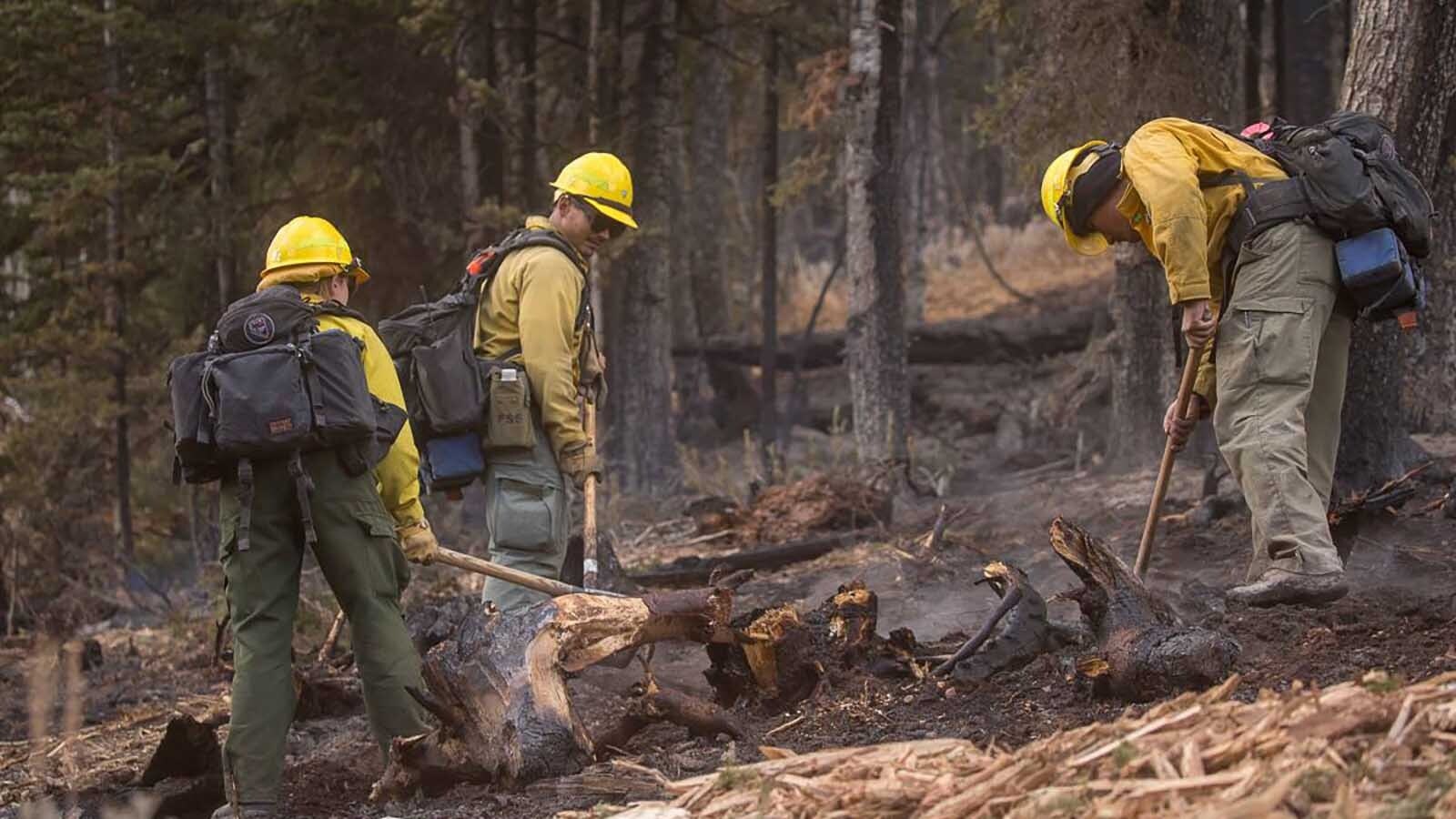 Wyoming’s Republican congressional delegation said they support Agriculture Secretary Brooke Rollins’s decision to rescind the 2001 Clinton-era Roadless Rule. Hageman has pushed hard to roll back the rule, saying it increased wildfire danger.