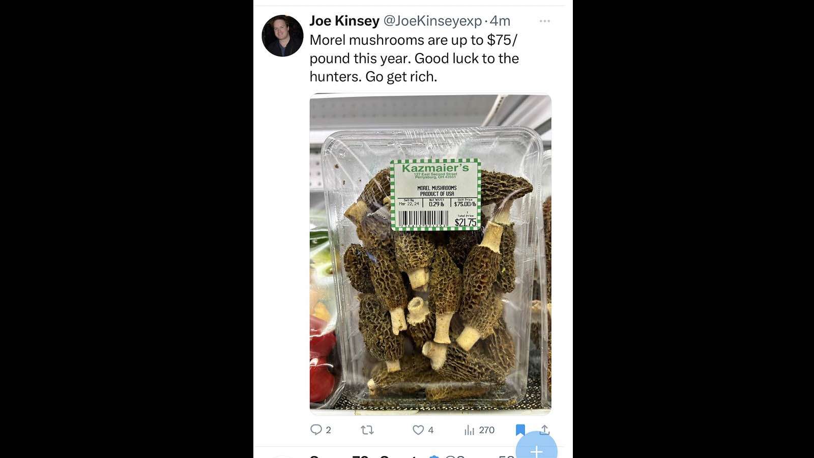 In an Ohio supermarket, morels are selling for $75 a pound.