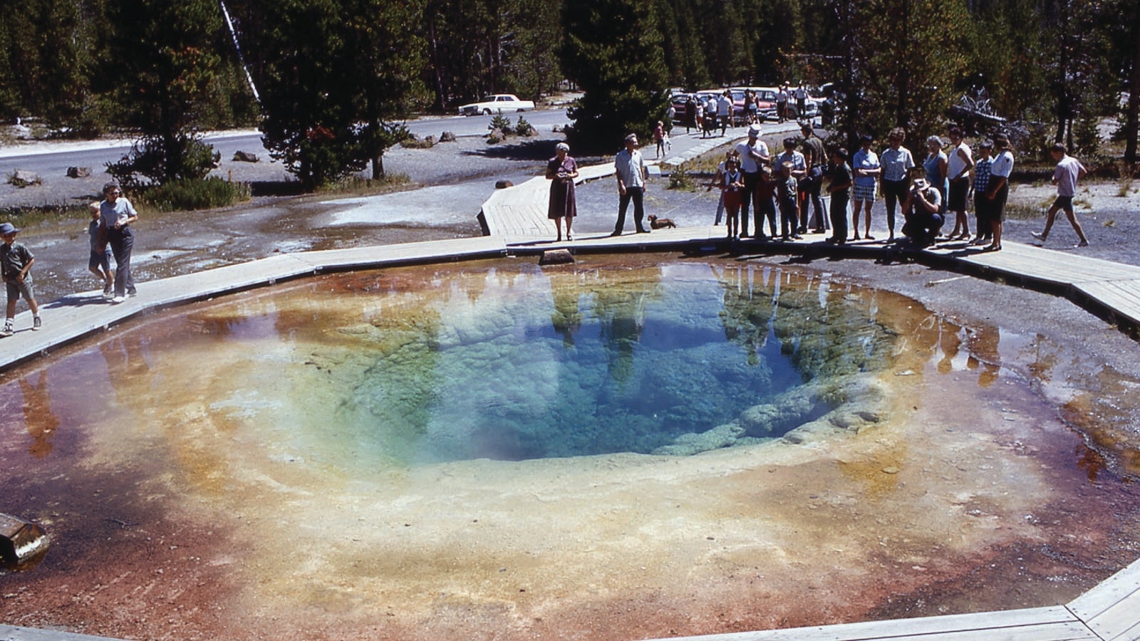 Morning Glory Pool used to be clear blue in color, but its close proximity to the road leading to Old Faithful has meant tourists throwing so much trash into it that it lost its original color.