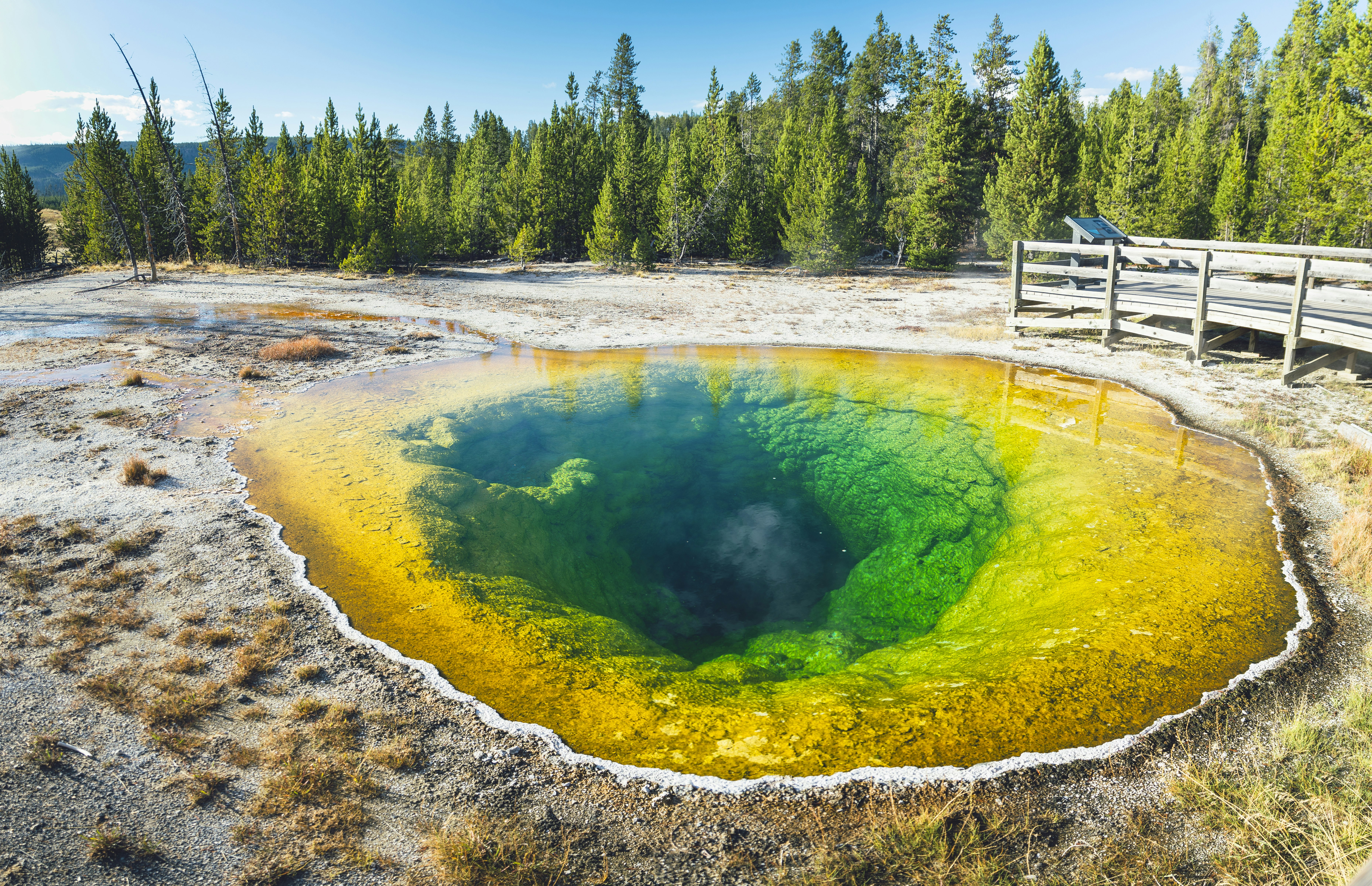 Morning Glory Pool in the Upper Geyeser Basin of Yellowstone National Park.